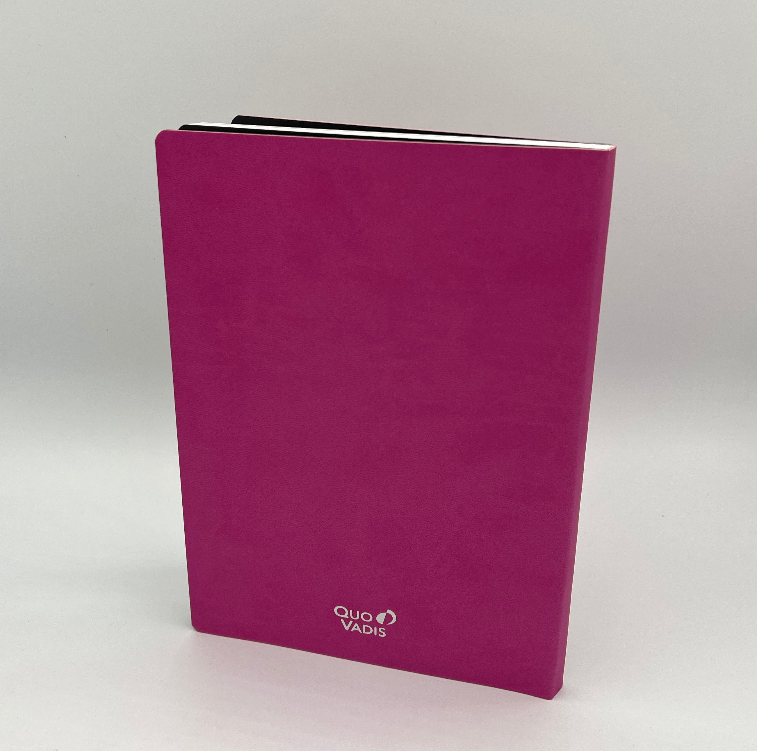 Pink notebook with 'Quo Vadis' branding on a light gray background